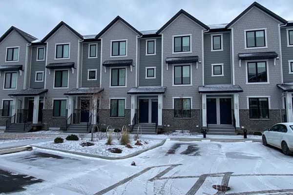Grey townhouse fronts in winter
